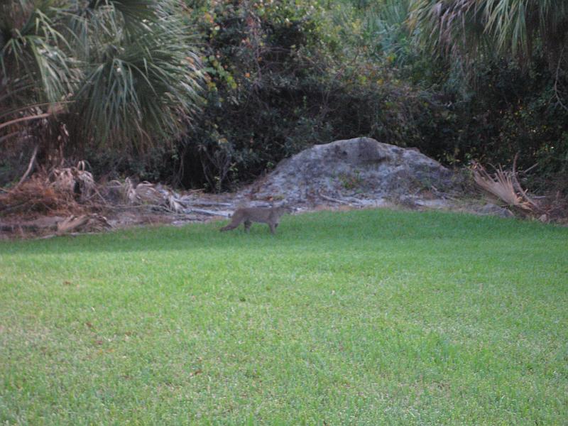 Picture 001